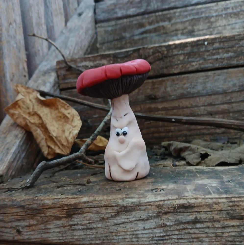 🧡🤎Mushroom Face 🥀🌸 Funny 🍄🟫🍄 - Picture 5 of 7